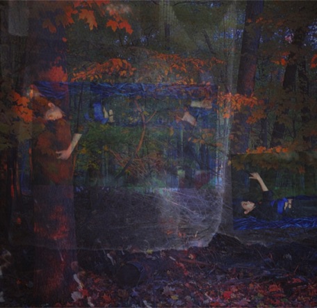 Film Installation in the Woods Film Installation in the Woods