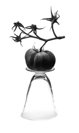 Still Life Still Life