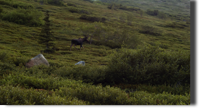Alaska Alaska