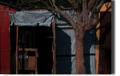 Port au Prince Tent City