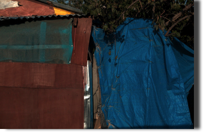 Port au Prince tent city